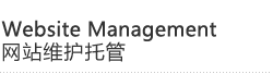 Website Management|网站维护托管